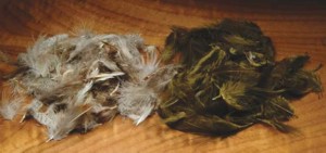 Pheasant Rump Hackle