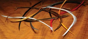 Stripped Goose Biots