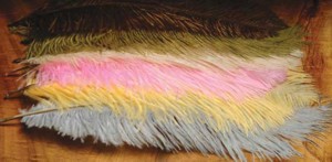 Ostrich Herl
