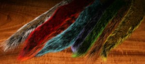 Grey Squirrel Tails