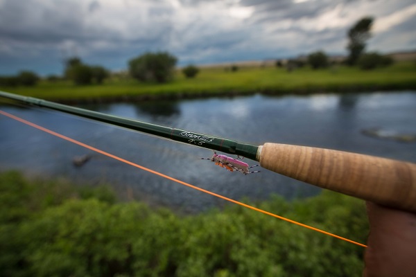 Winston Pure 2 Fly Rods
