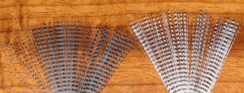 Mayfly Tails - Plain & Barred