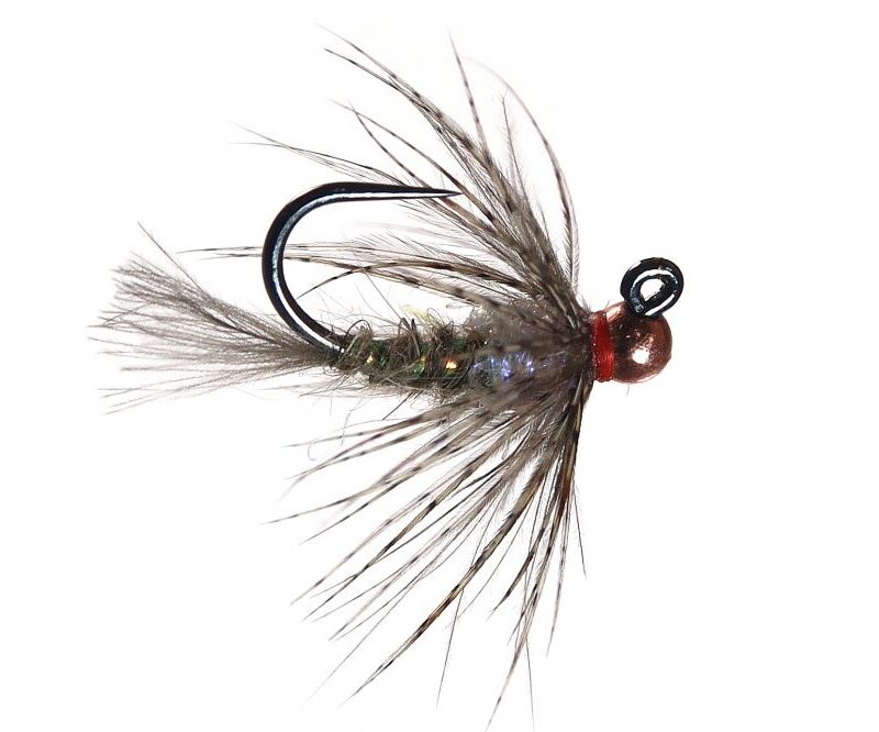 Jigged Bloom's Optic Nerve Hare's Ear