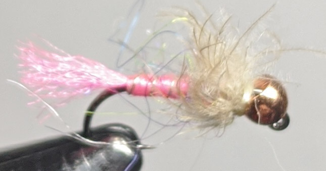 Jigged Pink Mosassin