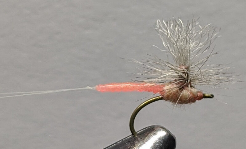 Iwan-E-Dun Para Pink