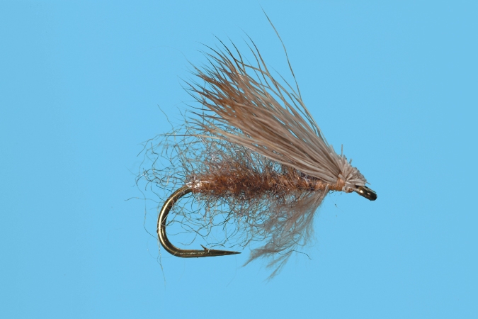 Translucent Caddis