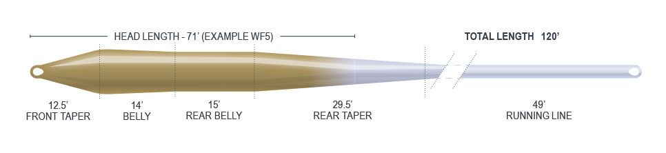 Airflo Superflo Ridge 2.0 Super Trout Fly Lines - Image 3