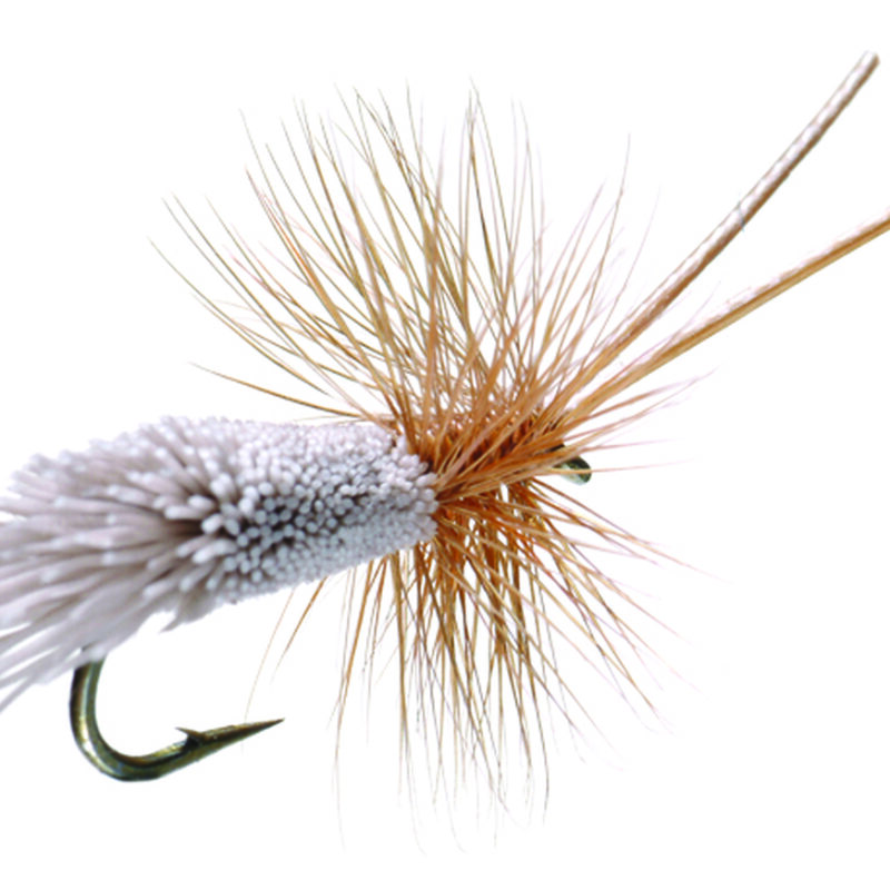 Caddis Dry Flies